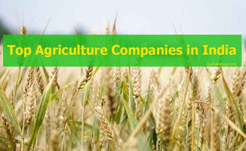 Top Agriculture Companies in India 