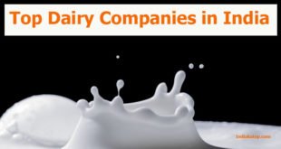 Top Dairy Companies in India