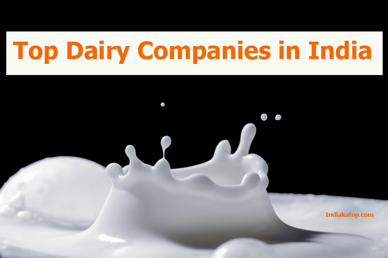 Top Dairy Companies in India