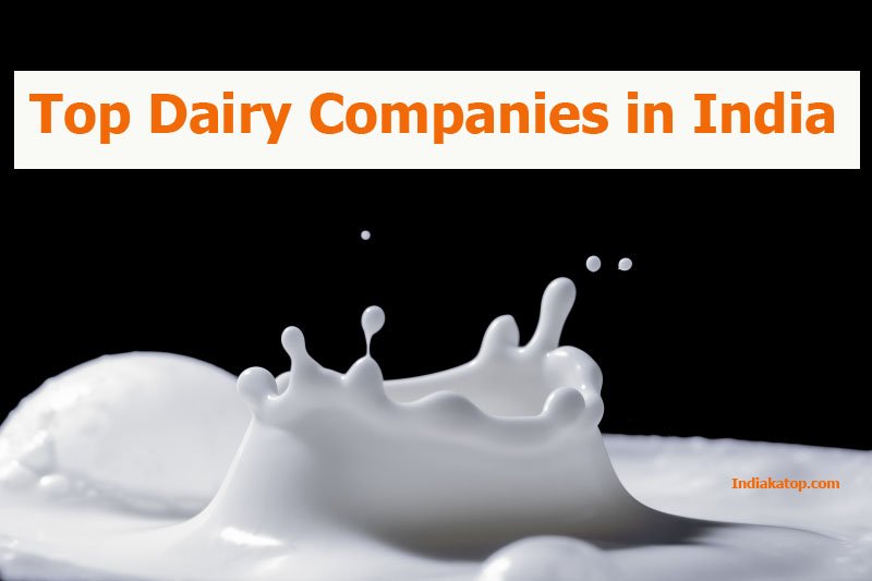 Top Dairy Companies in India