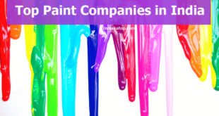 Top Paint Companies in india