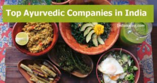 Ayurvedic Companies in India