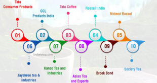 Top Indian Tea Companies - Explained with Inforgraphic