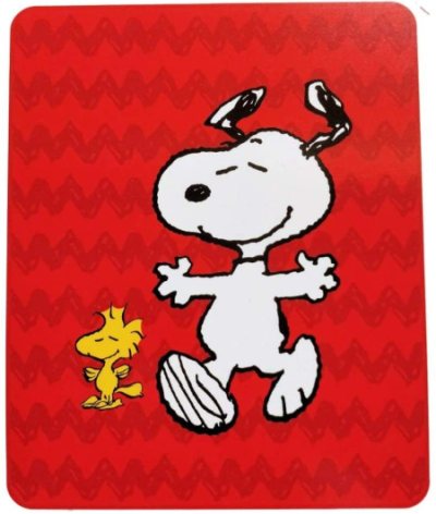 Snoopy Home