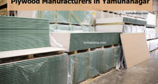 Plywood Manufacturers in Yamunanagar